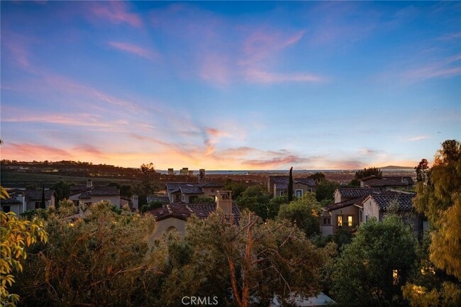 Photo - 33 Tall Hedge