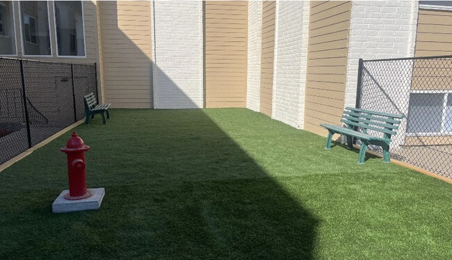 Dog Park