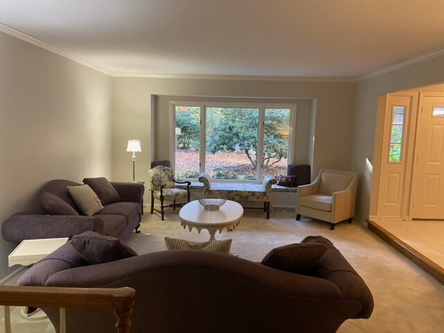 Photo - 229 Portchester Rd