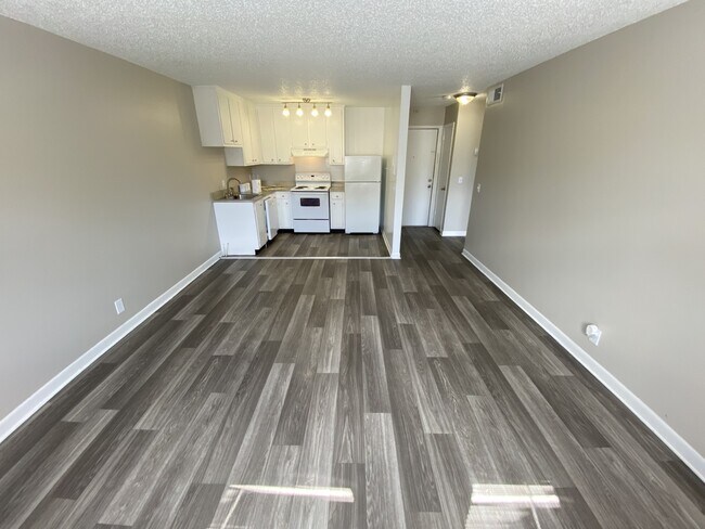 LIVING AREA/KITCHEN