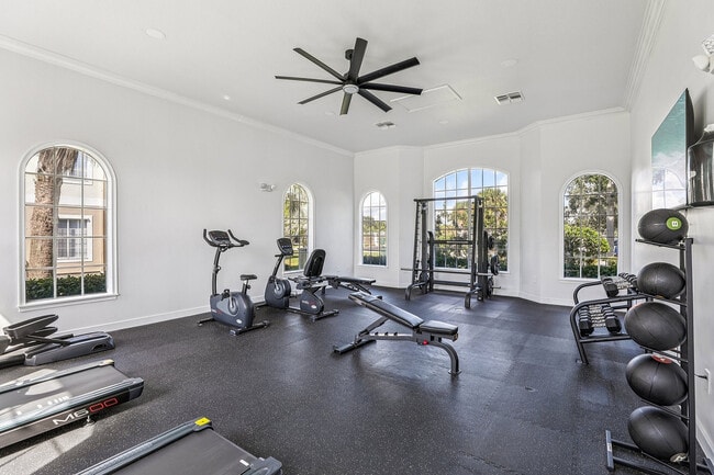 Bright and airy gym space featuring modern fitness equipment, large windows, and high ceilings. - The Village at Melbourne