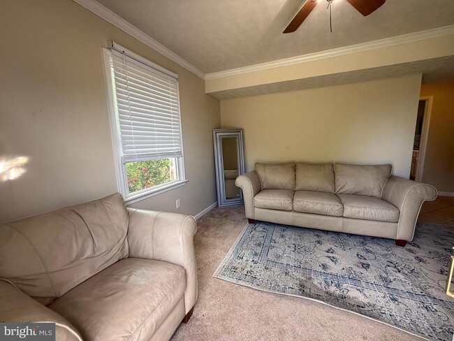 Photo - 7 Patton Ln
