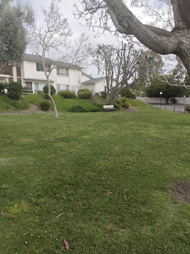 Photo - 3508 Driftwood Pl