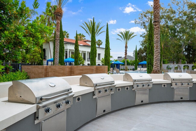 27 Seventy Five Mesa Verde