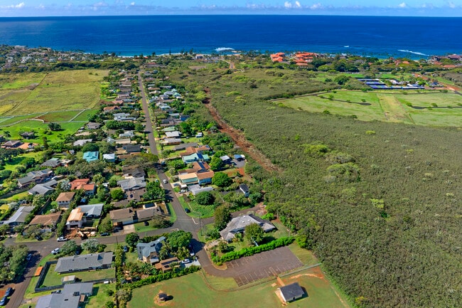 Photo - 2020 Pahoehoe St