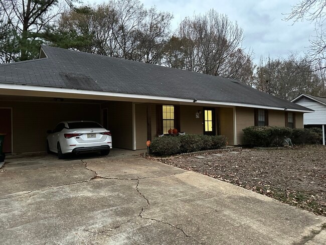 driveway view - 344 Brookwoods Dr