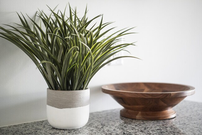 Elegante expositor de mostrador con una vibrante planta en maceta de color verde y un elegante cuenco de madera, que añade un toque fresco a cualquier espacio interior.