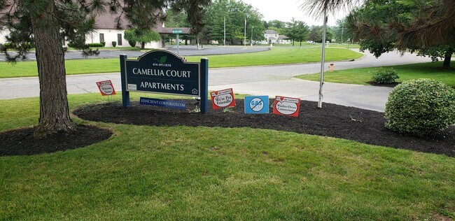 Camellia Court