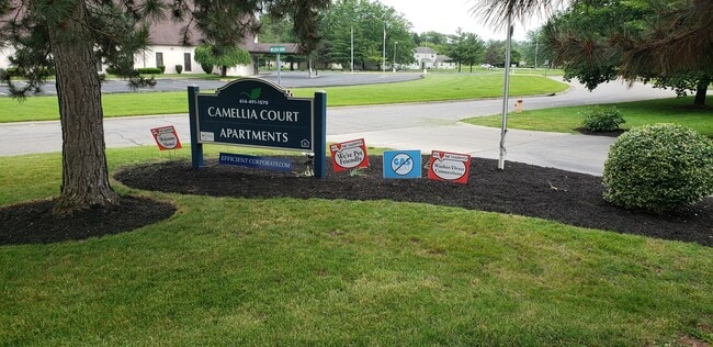 Photo - Camellia Court