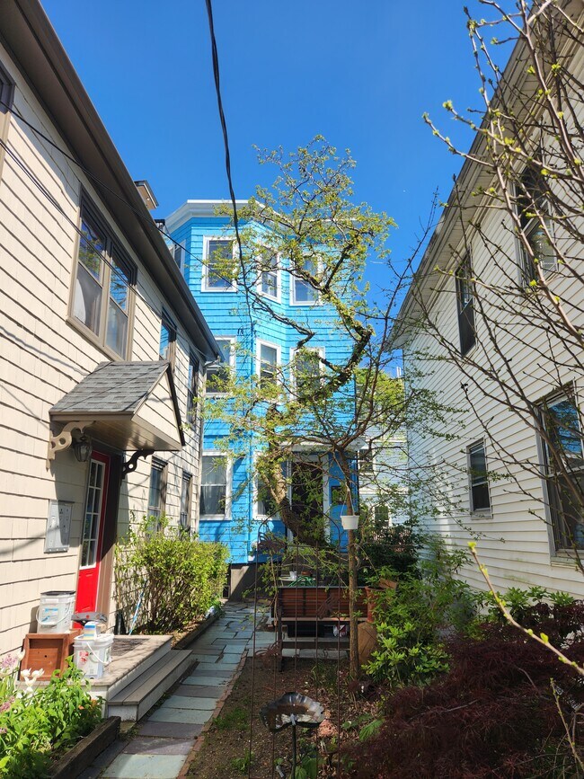 House - courtyard - 410 Norfolk St Apartments Unit 3