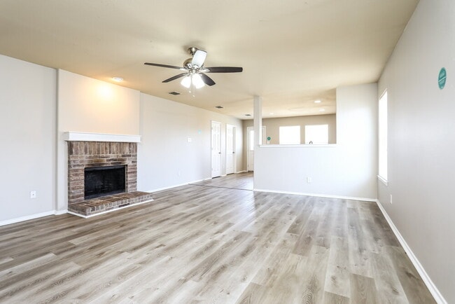 Photo - 529 Indian Paintbrush