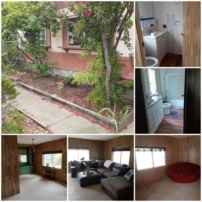 Photo - 4433 White River Dr