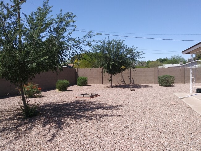 Back yard - 1023 W 18th St