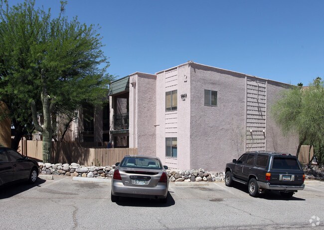 Photo - Oasis In The Catalinas