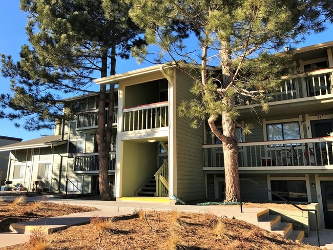 Photo - THE PINES Apartments