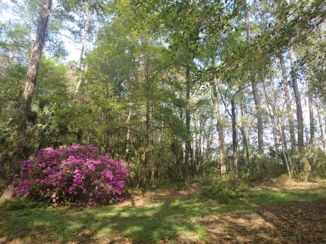 Photo - 8035 NW 120th St Unit Rose cottage