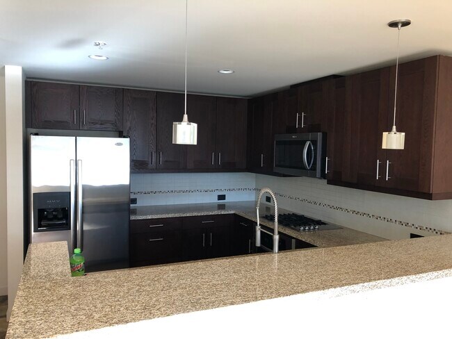 kitchen view #2 - 1515 Dock St Unit 702