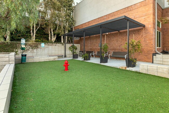 Photo - Wilshire La Brea