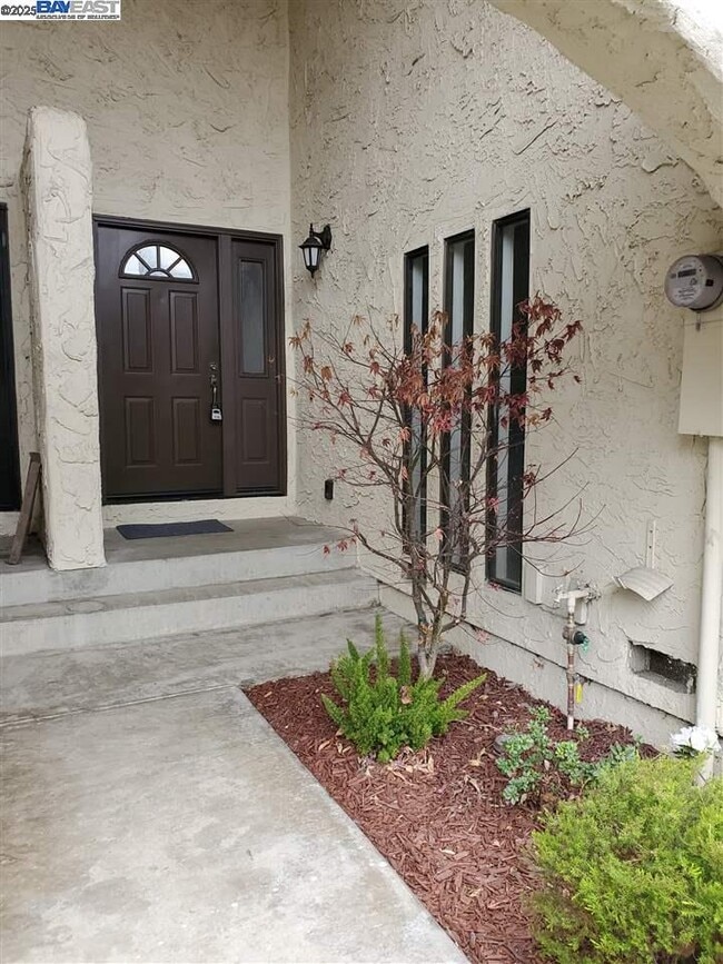 Photo - 441 Puerto Pl