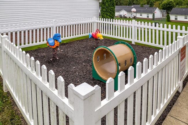 Photo - Paint Landing