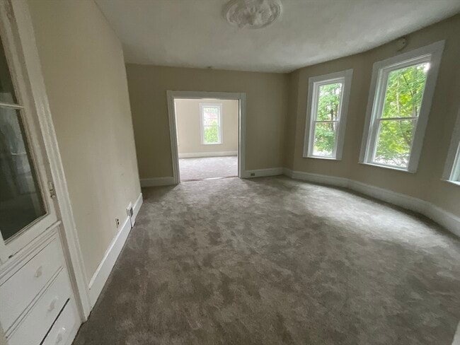 Photo - 286 Albion St Unit #2