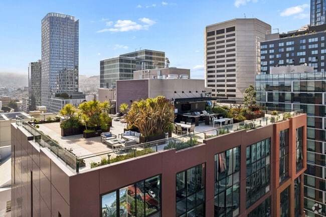 Rooftop Deck