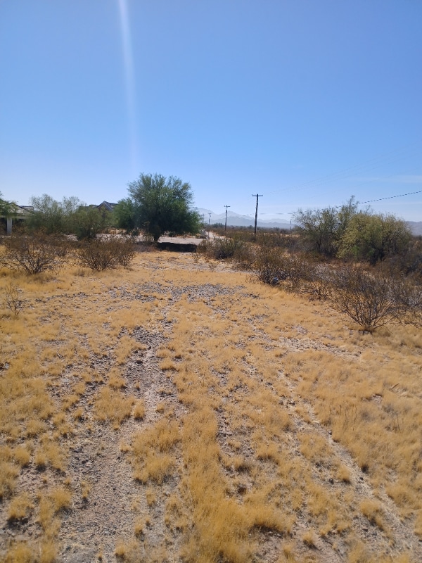 Photo - 2401 S 351st Ave