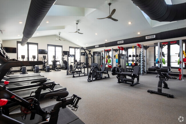 Fitness