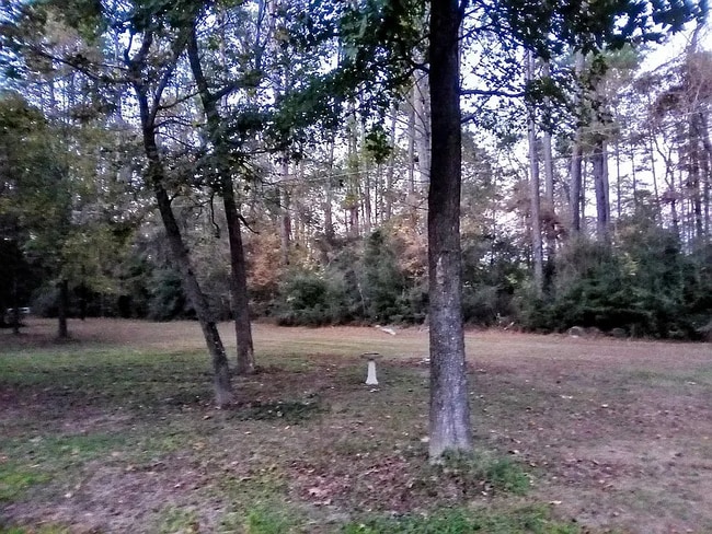 Photo - 2FS Road 214 Rd