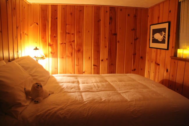 Photo - 585 Raccoon Point Rd