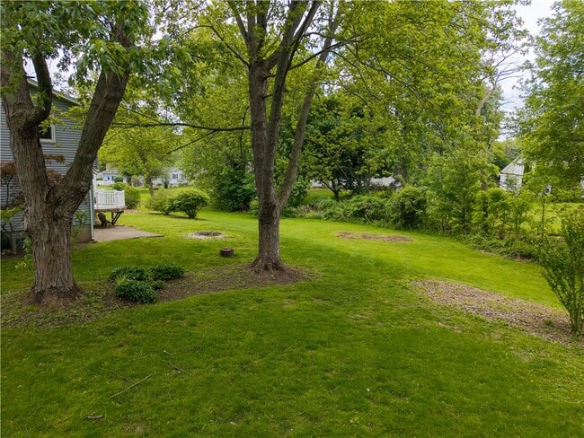 Photo - 20 Paddington Dr