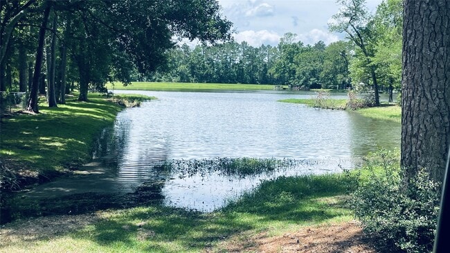Photo - 9848 Pine Point Dr