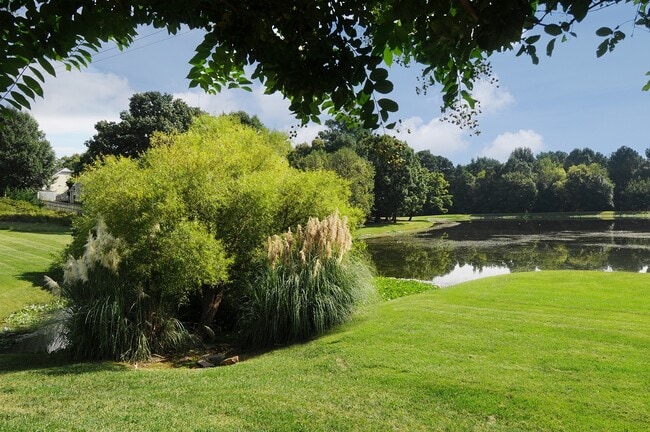 Views of Roswell Lake at Brookefield Apartments in Raleigh, NC