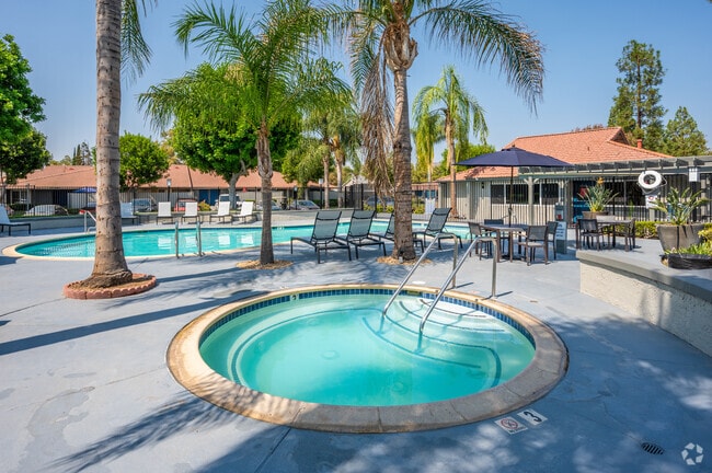 Piscina y spa - The 3900 Apartments