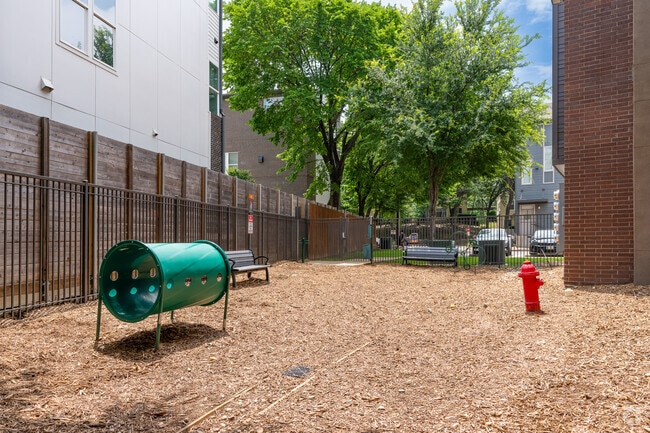 Dog Park