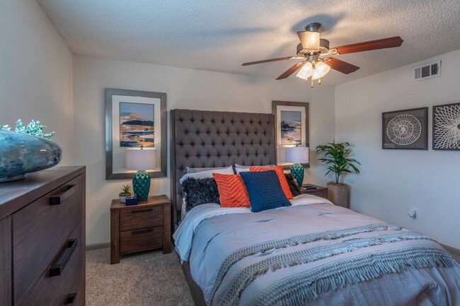 Photo - Sunset Shadows