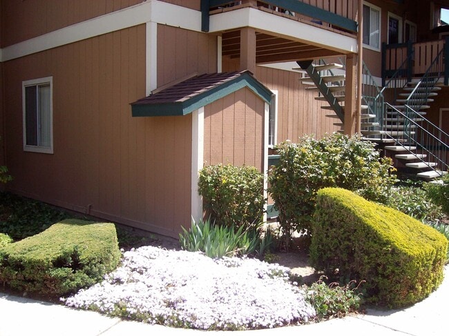 Brooktree Apartments