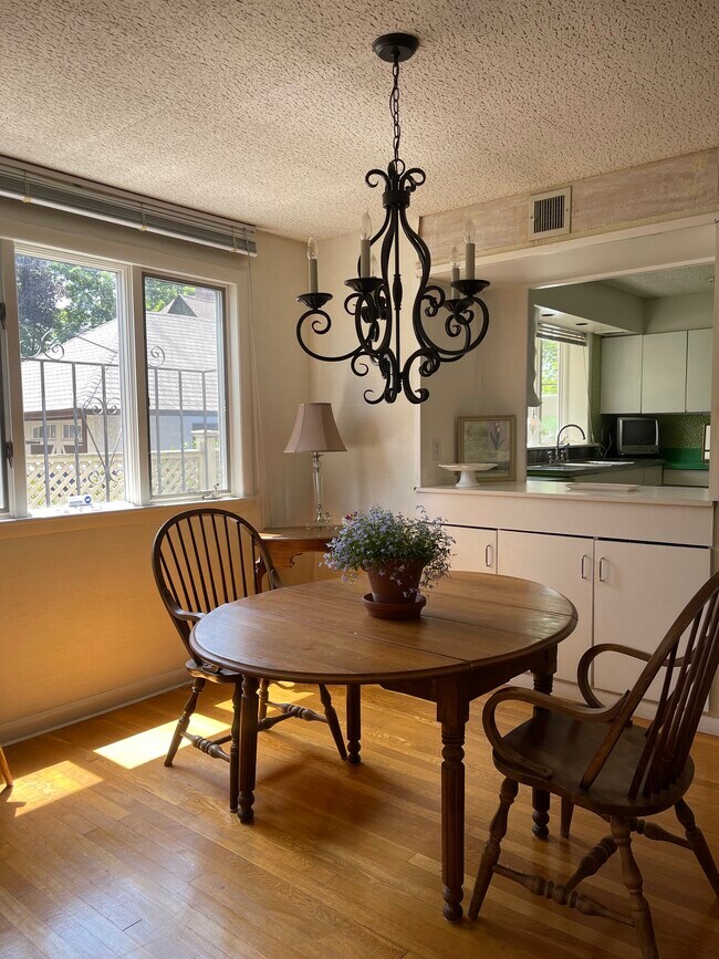 Photo - 7 Somerset St