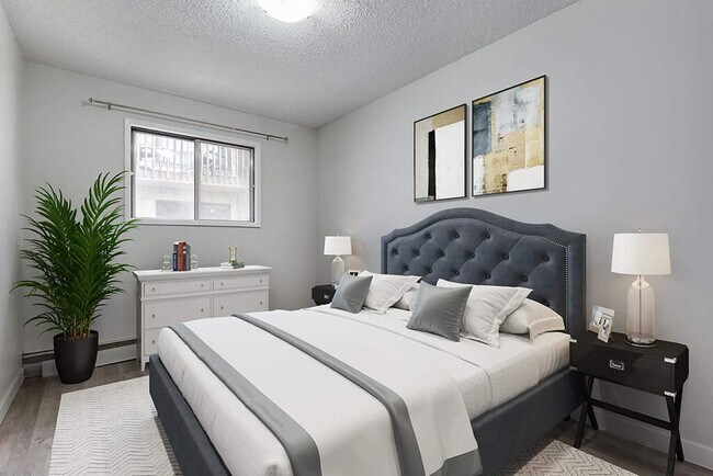 The Chaparel - The Chaparel