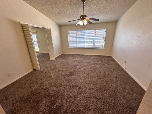 Photo - Available Soon!