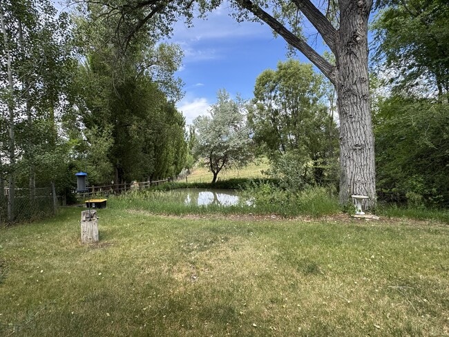 Photo - 3463 Rimrock Rd