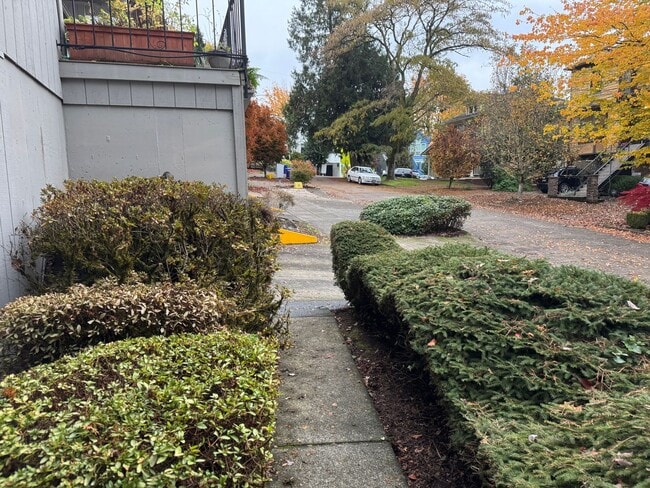 Photo - Spacious ground level 1br/1ba Apt with attached garage and washer/dryer in unit