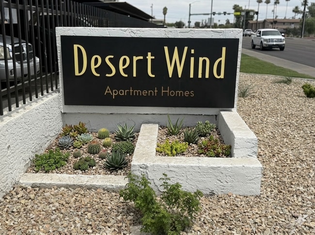 Photo - Desert Wind
