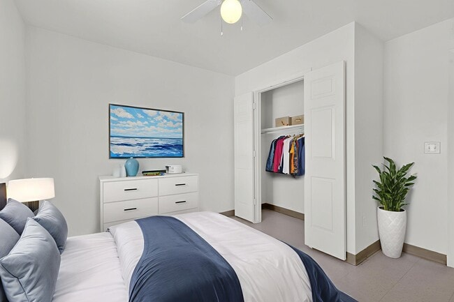 Photo - Homeward Bound