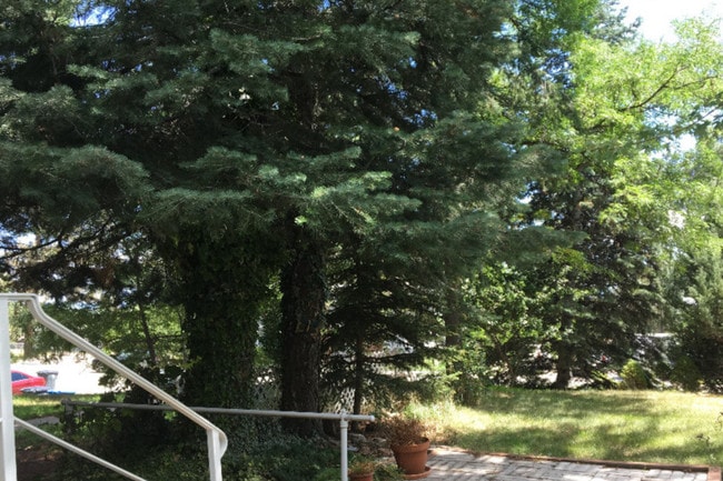 view to front yard - 2059 41st St Unit A