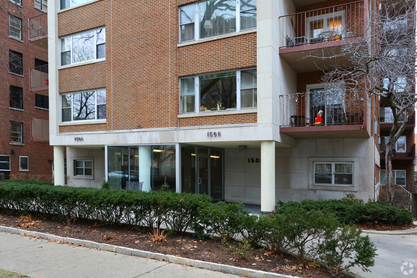 Photo - The Evanstonian