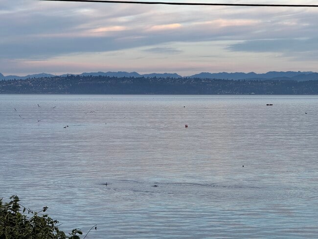 Photo - 9876 SE Southworth Dr Unit Basement Apartment