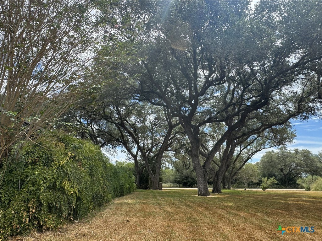 Photo - 3542 Coletoville Rd