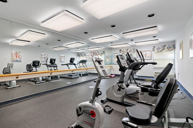 Gimnasio w/Mirror - Pin Oak Village Senior Apartments, 55+