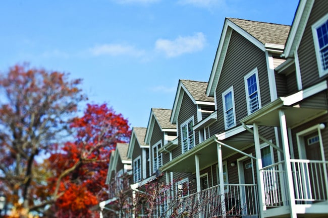 Markham Gardens